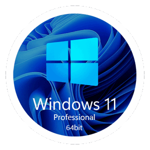 Windows 11 23H2 x64 Professional [22631.3447] (14.04.2024) by bulygin-dima [Ru]