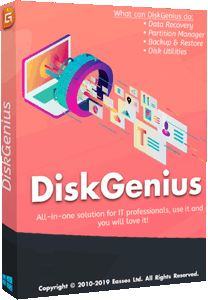 DiskGenius Pro 5.6.0.1565 (x64) Portable by FC Portables