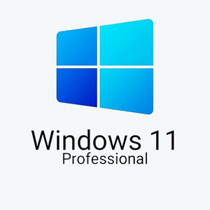 Windows 11 Pro 24H2 26100.2033 x64 by SanLex [Lightweight]