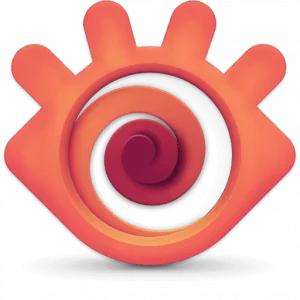 XnView v2.49.2 Full (Complete version) Final + Portable Official [2020, Ml\Rus]