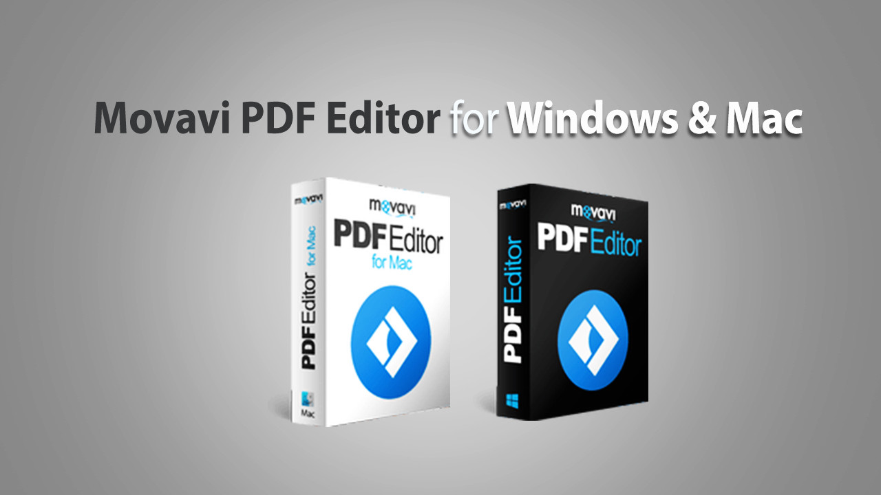 Обзор программы Movavi PDF Editor