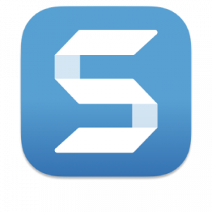 TechSmith SnagIt v2020.1.1 Build 5510 Final [2020, Eng\Rus]