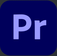Adobe Premiere Pro 2025 25.6.2.1 x64 [11.2025, Multi + RUS]